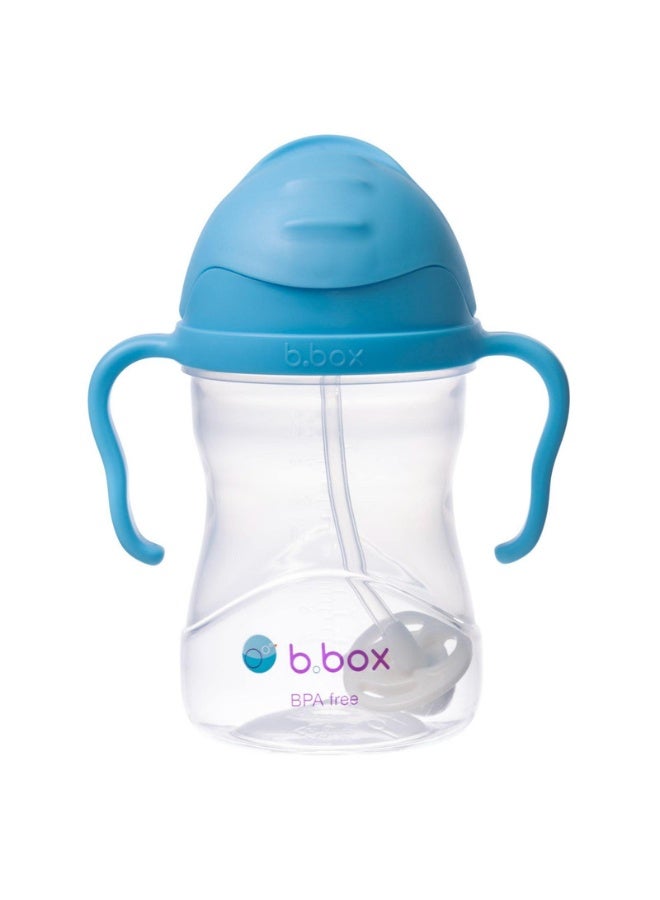 B.Box Leakproof Sippy Cup with Weighted Straw | 240ml (8.1 fl oz) | BPA Free | Easy Grip Handles | For Babies & Toddlers – BlueBerry